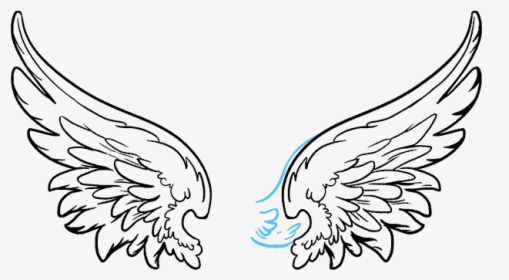 How To Draw Angel Wings - Vector Angel Wings Png, Transparent Png, Transparent PNG