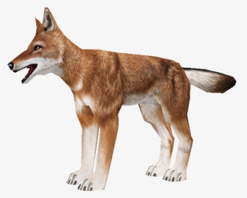 Download Zip Archive - Zoo Tycoon 2 Ethiopian Wolf, HD Png Download, Transparent PNG