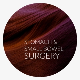 Stomach Sm Bowel - Lace Wig, HD Png Download, Transparent PNG