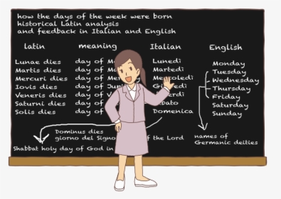 Latin Lesson Week - Cartoon, HD Png Download, Transparent PNG