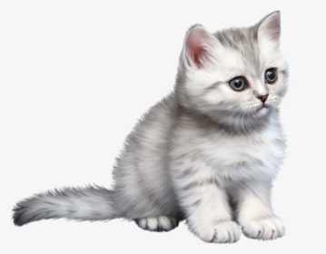 Kitten Clipart Transparent, HD Png Download, Transparent PNG