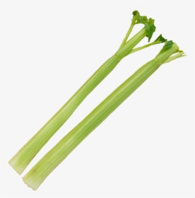 Celery Stick Png - Transparent Background Celery Png, Png Download, Transparent PNG