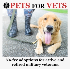 Veterans - Service Dogs And Veterans, HD Png Download, Transparent PNG