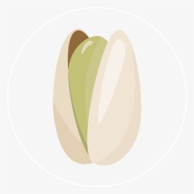 Pistachio-icon - Circle, HD Png Download, Transparent PNG