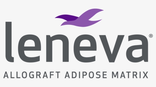 Leneva - Bird, HD Png Download, Transparent PNG