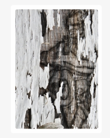 Wood Tome 1 - Visual Arts, HD Png Download, Transparent PNG