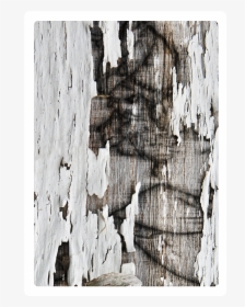 Wood Tome 2 - Visual Arts, HD Png Download, Transparent PNG