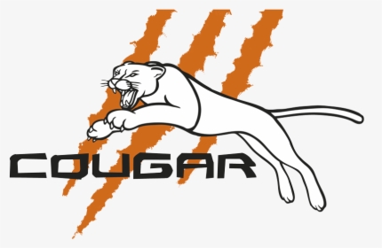 Cougar, HD Png Download, Transparent PNG