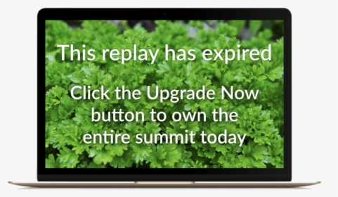 Led-backlit Lcd Display, HD Png Download, Transparent PNG