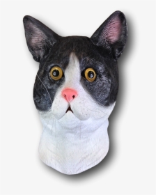 Black White Cat Mask, HD Png Download, Transparent PNG