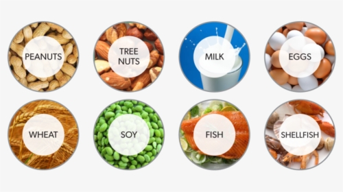 Allergic Food, HD Png Download, Transparent PNG