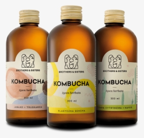 Kombucha Brothers And Sisters, HD Png Download, Transparent PNG