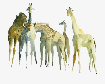 Northern Giraffe Watercolor Painting Drawing - Giraffe, HD Png Download, Transparent PNG