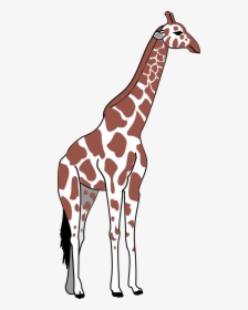 Giraffe Svg Clip Arts - Tall And Short Clipart, HD Png Download, Transparent PNG