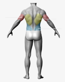 Barechested, HD Png Download, Transparent PNG