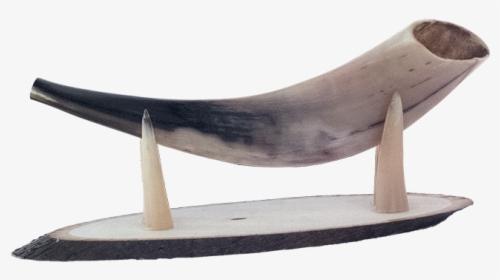 Horn On A Stand, HD Png Download, Transparent PNG