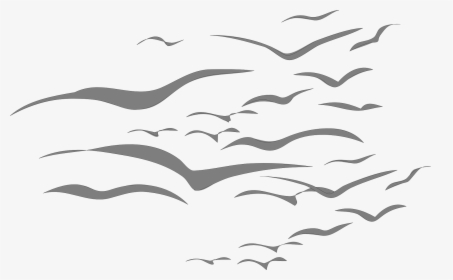 Bird Graphic Design Flying, HD Png Download, Transparent PNG