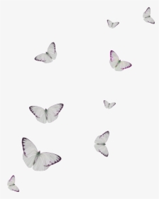 White Spot Butterfly Cartoon Transparent - Butterfly, HD Png Download, Transparent PNG