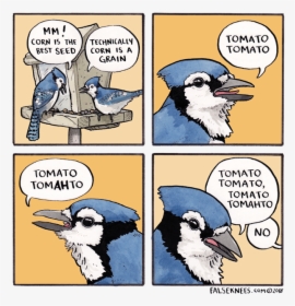 Tomato Tomato Birds Comic, HD Png Download, Transparent PNG