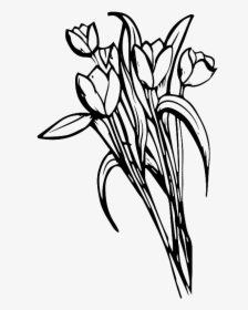 Hand Drawn Black And White Flowers Love Vector - Iris, HD Png Download, Transparent PNG