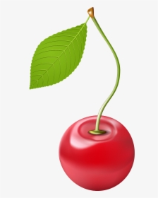 Cherry Png Transparent Free Images - Cherry Png Clipart, Png Download, Transparent PNG
