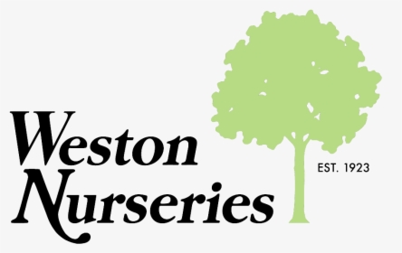 Coming Soon- Weston Nurseries - Tree, HD Png Download, Transparent PNG
