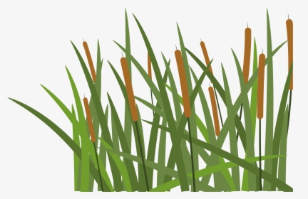 Hoochie S Denton - Transparent Pieces Of Grass, HD Png Download, Transparent PNG