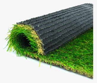 Plastic Grass Carpet In Sri Lanka, HD Png Download, Transparent PNG