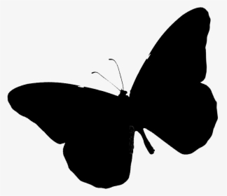 Brush-footed Butterflies Clip Art Silhouette Black - Brush-footed Butterfly, HD Png Download, Transparent PNG