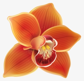 Orange Orchid Png Clipart - Clip Art Orchid Flower, Transparent Png, Transparent PNG