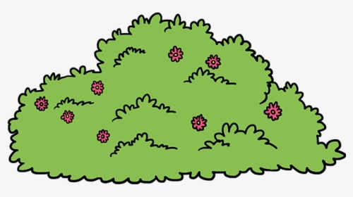 Drawing Bushes Green Bush - Drawing Of A Bush, HD Png Download, Transparent PNG