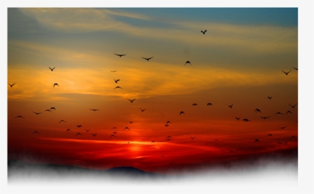 #sun #sunset #bird #birds #clouds #cloud #nature #background - Sunset With Birds In Background, HD Png Download, Transparent PNG
