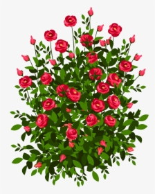 Bush Of Flowers Drawing, HD Png Download, Transparent PNG