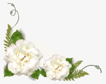 Transparent Gardenia Png - White Flower Corner Png, Png Download, Transparent PNG
