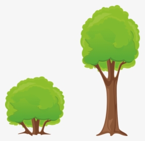 Tree, Bush, Clipart, Nature, Forest - Tree And Shrub Clipart, HD Png Download, Transparent PNG