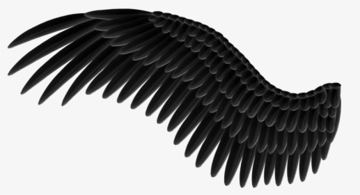 Wings Png - Black Angel Wing Png, Transparent Png, Transparent PNG