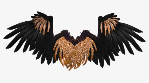 Wing, Angel, Flying, Gold, Black, Isolated, 3d, Render - Black And Gold Angel Wings, HD Png Download, Transparent PNG