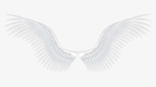 White Angel Wings Png, Transparent Png, Transparent PNG