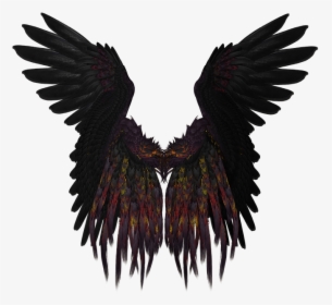Wing, Feather, Flying, Black, Isolated, Gold, Render - Black Angel Wings Png, Transparent Png, Transparent PNG