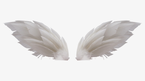 White Wings Png - Крылья Для Фотошопа, Transparent Png, Transparent PNG