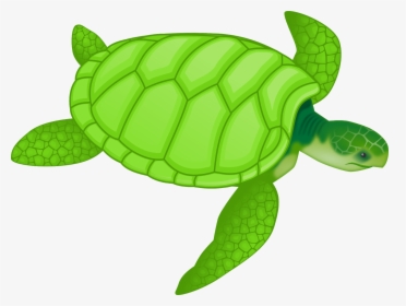 Sea Turtle Clipart, HD Png Download, Transparent PNG
