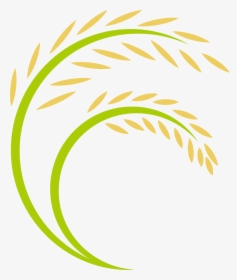Transparent Rice Plant Png - Paddy Rice Logo Png, Png Download, Transparent PNG