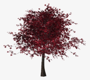 Tree, Autumn, Leaves, Red Leaves, Digital Art, Isolated - Tree With Red Leaves Png, Transparent Png, Transparent PNG