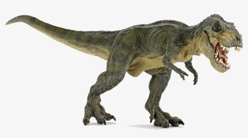 Dinosaure T Rex Png, Transparent Png, Transparent PNG