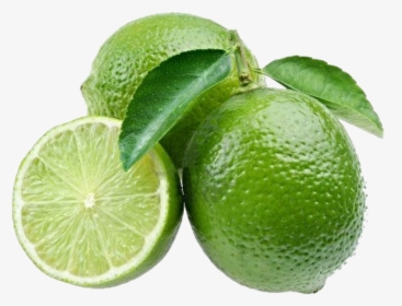 Lime Png, Transparent Png, Transparent PNG