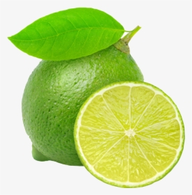 Lime Png, Transparent Png, Transparent PNG