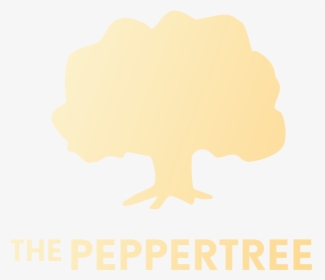 Gift Certificate Pepper Tree $150 - Retebrescia, HD Png Download, Transparent PNG