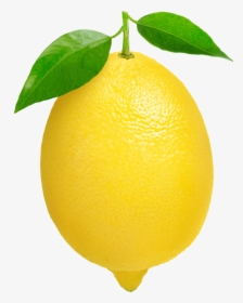 Three Green Lemons Transparent - Lemon Fruit Transparent Background, HD Png Download, Transparent PNG