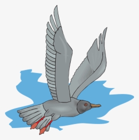 Gray Seagull Icon Png, Transparent Png, Transparent PNG