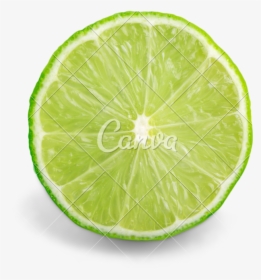 Transparent Lemon Slices Clipart - Persian Lime, HD Png Download, Transparent PNG